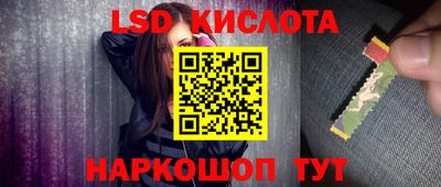 крисы Новодвинск