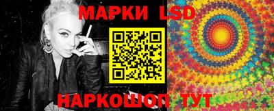 скорость Новозыбков