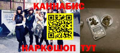 крисы Новодвинск