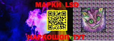 крисы Новодвинск
