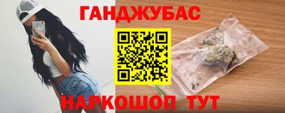 крисы Новодвинск