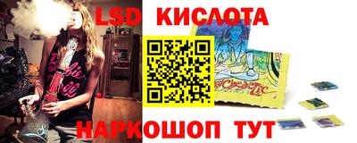 крисы Новодвинск