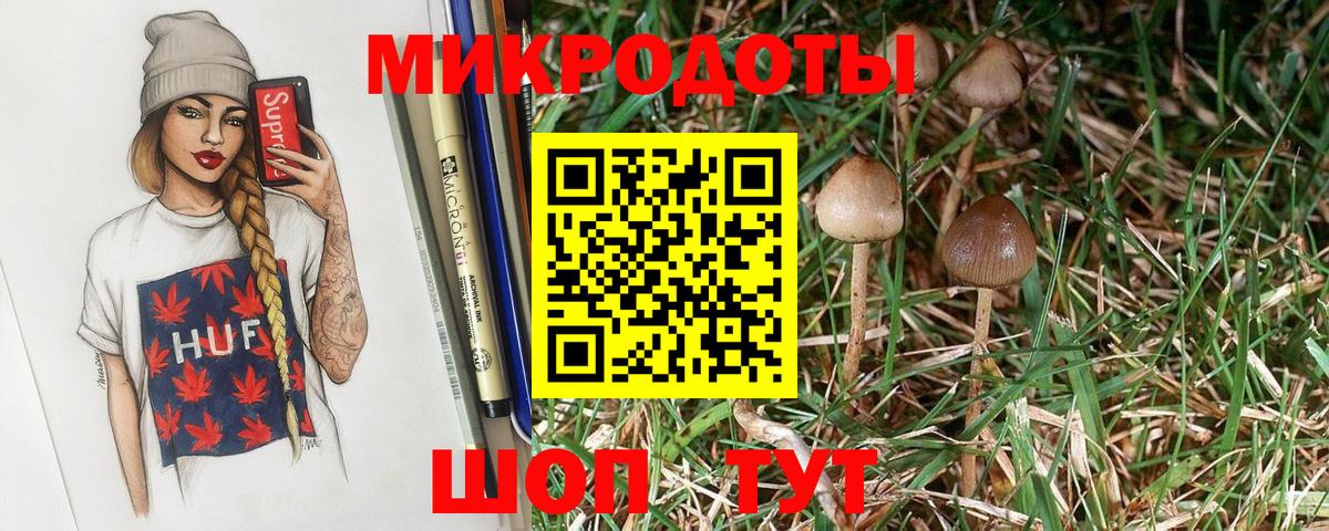 Верхняя Пышма  Псилоцибиновые грибы прущие грибы  Вход с VPN  Псилоцибиновые грибы мухоморы 