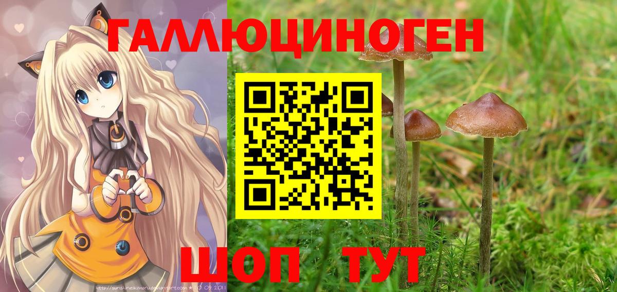 Псилоцибиновые грибы мицелий Верхняя Пышма